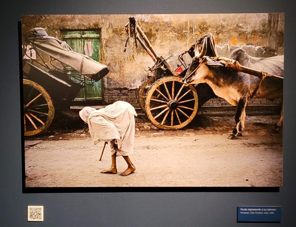 Steve McCurry Poster Village girl, Jaipur, Rajasthan., Limited Edition of  100 - LUCIE STORE