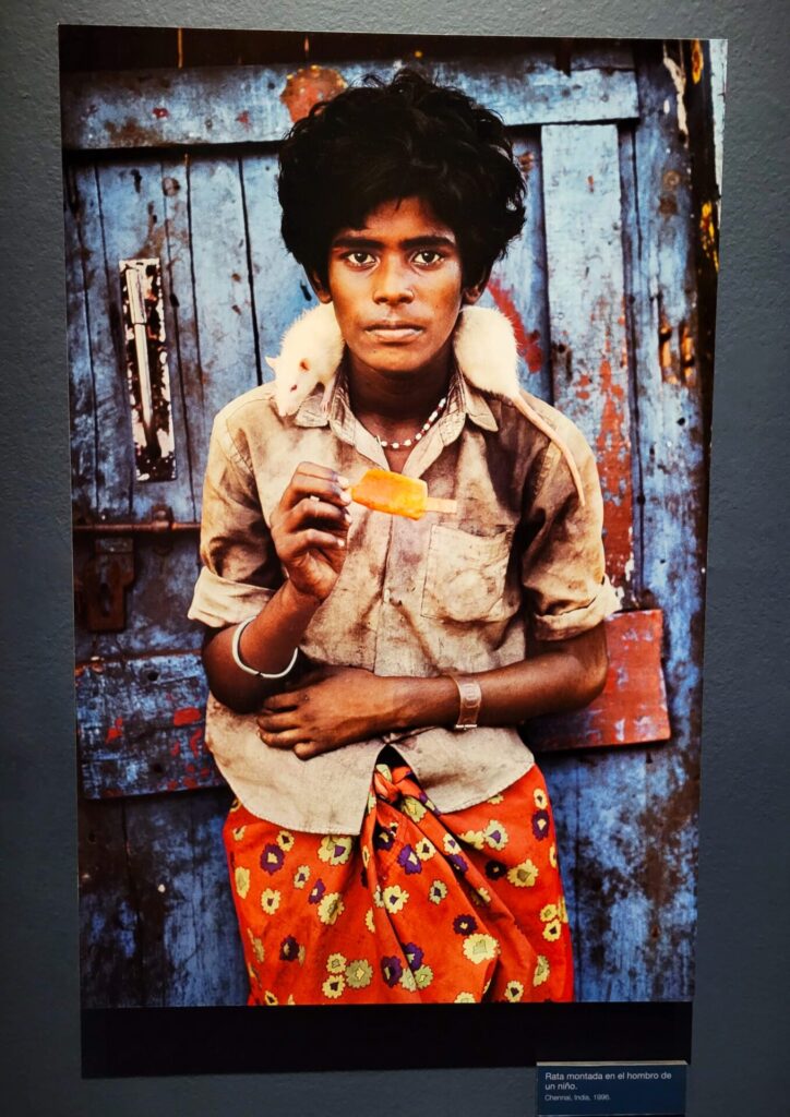 The Iconic Photography Of Steve McCurry - Bonus Nachos